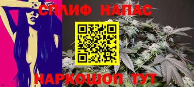 дмт Будённовск
