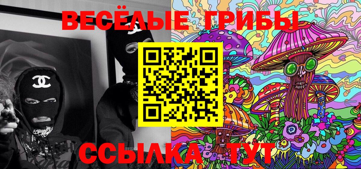 Псилоцибиновые грибы мицелий Королёв