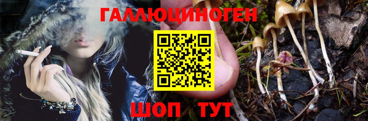 Галлюциногенные грибы прущие грибы  Вход с VPN  Королёв 